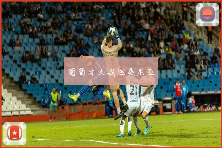 葡萄牙大战坦桑尼亚