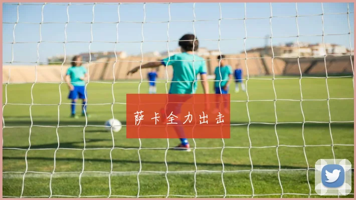 萨卡全力出击