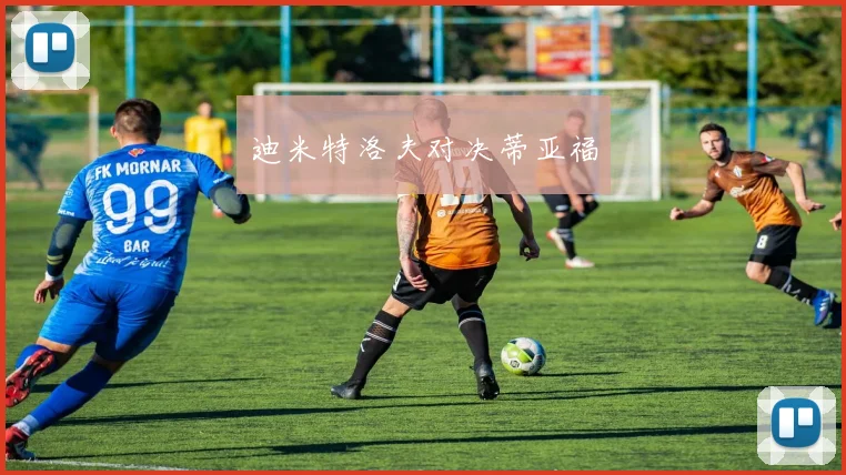 迪米特洛夫对决蒂亚福