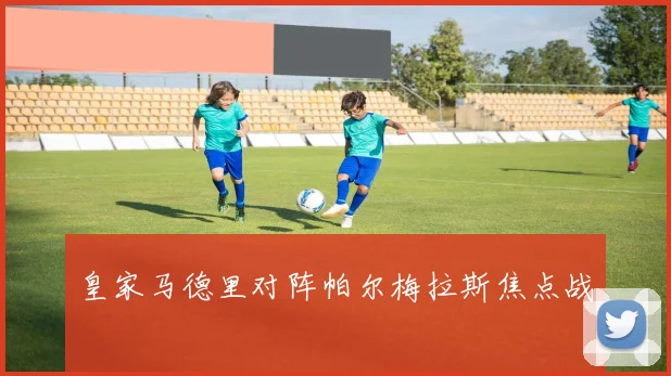 皇家马德里对阵帕尔梅拉斯焦点战