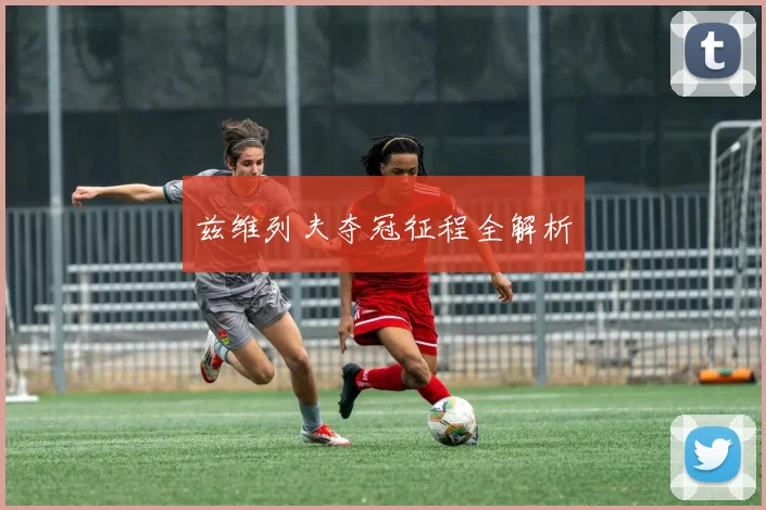兹维列夫夺冠征程全解析
