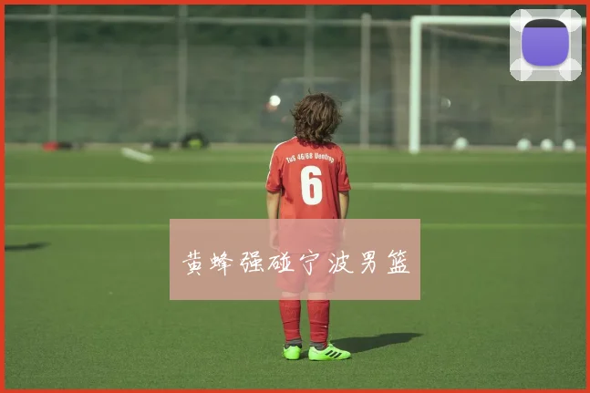 黄蜂强碰宁波男篮