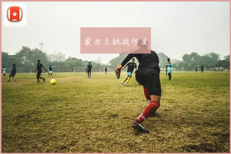 爱尔兰挑战印度