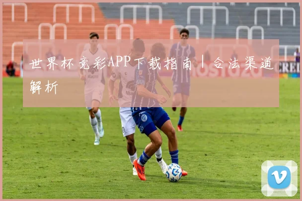 世界杯竞彩APP下载指南｜合法渠道解析