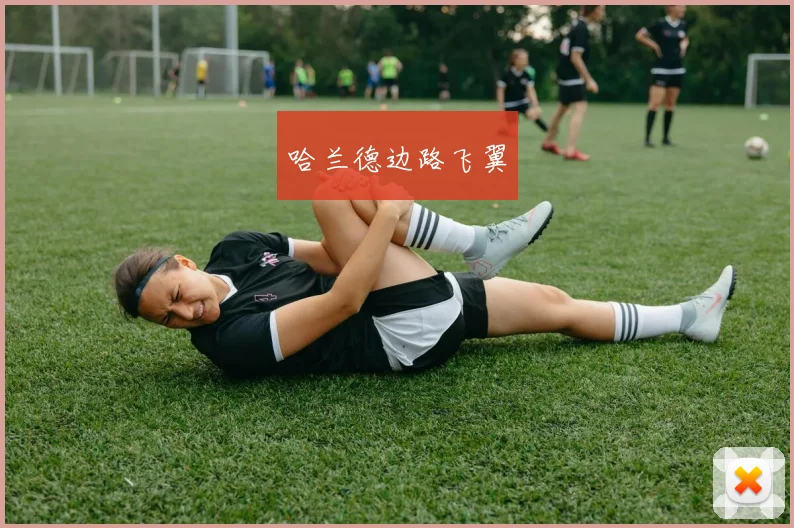 哈兰德边路飞翼