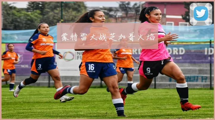 蒙特雷大战芝加哥火焰