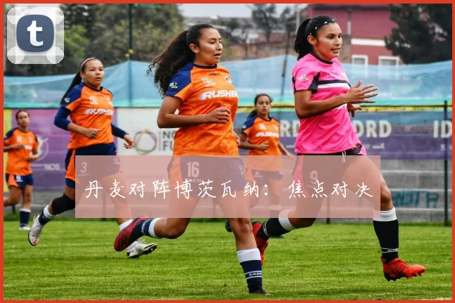 丹麦对阵博茨瓦纳：焦点对决