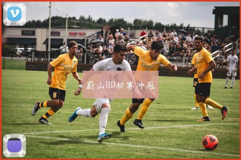 蔚山HD杯赛冲冠