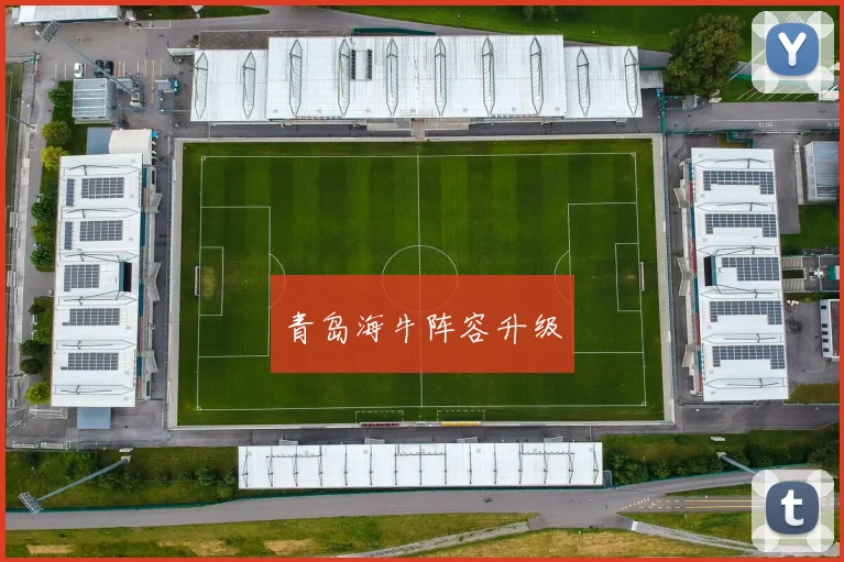 青岛海牛阵容升级