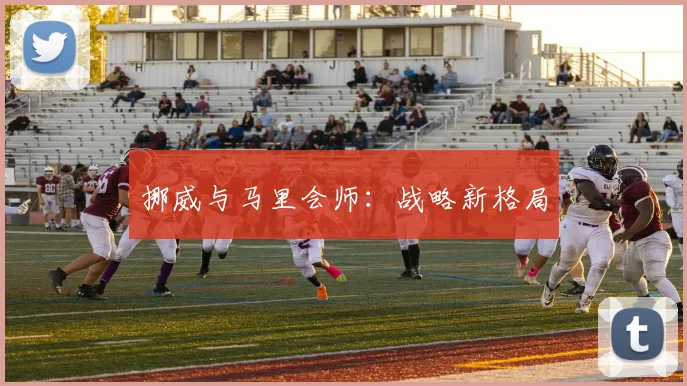 挪威与马里会师：战略新格局