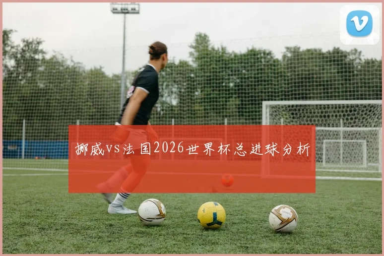 挪威vs法国2026世界杯总进球分析