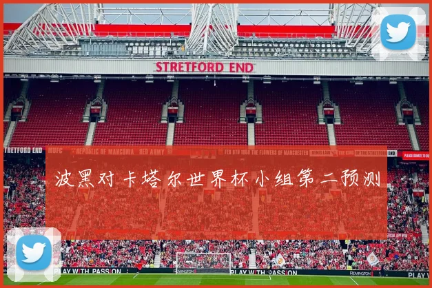 波黑对卡塔尔世界杯小组第二预测