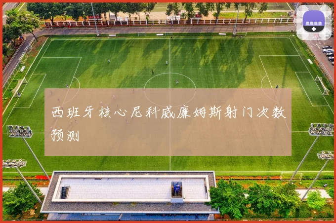 西班牙核心尼科威廉姆斯射门次数预测