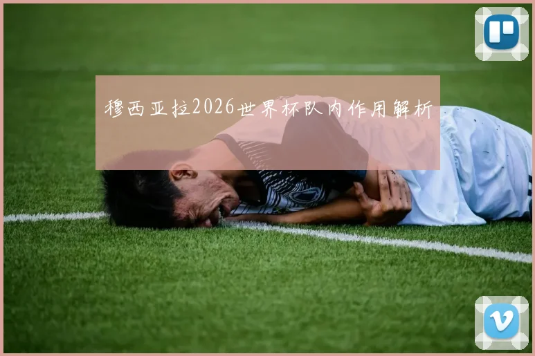穆西亚拉2026世界杯队内作用解析