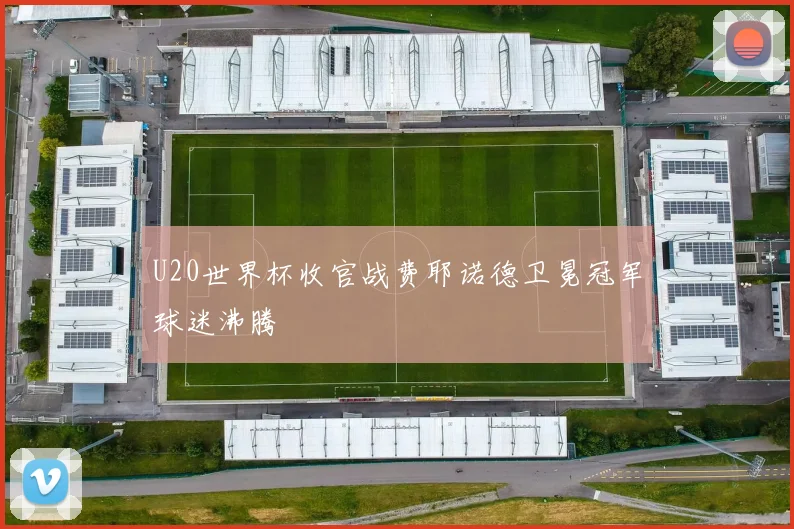 U20世界杯收官战费耶诺德卫冕冠军球迷沸腾