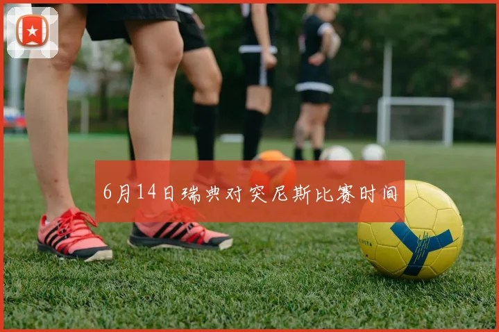 6月14日瑞典对突尼斯比赛时间