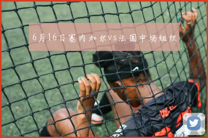 6月16日塞内加尔vs法国中场组织